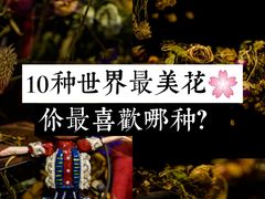 -ROSEONLY诺誓(国际广场购物中心店)