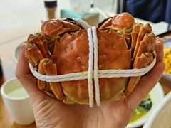 -品鲜村农家菜·阳澄湖大闸蟹(总店)