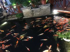 -顺德了能馆(虎门店)