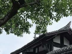 -燊海井