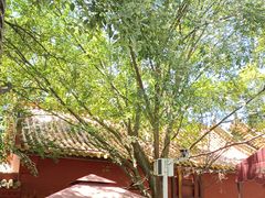 -南岳衡山风景名胜区-南岳大庙