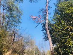 -天台山赤城山景区