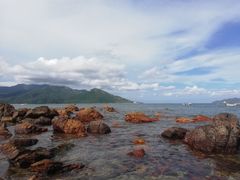 -西涌国际滨海旅游区