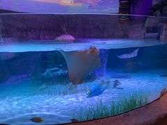 -沈阳海洋探索中心