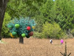 -帽儿山国家森林公园