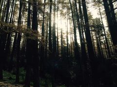 -芦芽山旅游度假区