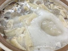 -15年老字号鑫鑫猪肚鸡·椰子鸡海南火锅(兴隆华侨农场店)