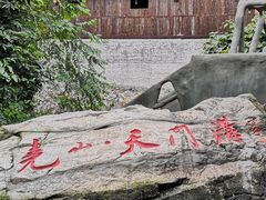 景点-天门沟九州驿站树上汤泉
