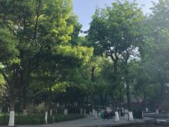 -常州古运河南大街文化旅游区-人民公园