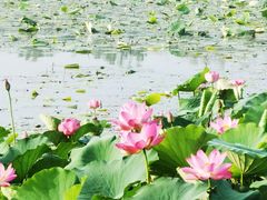 -云龙湖旅游景区