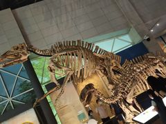 -湖南省地质博物馆