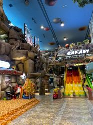 点击看大图 -卡通尼·Safari非洲探索乐园·生日会(金桥国际商业广场店)