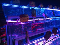 -中环花鸟鱼虫市场