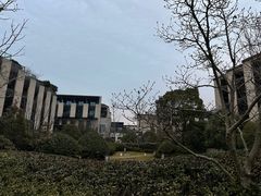 -上海崇明金茂凯悦酒店