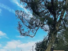 -韶山毛泽东同志故居