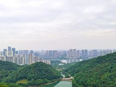 -桃花岭景区