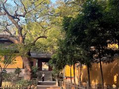 -普陀山风景名胜区-法雨禅寺