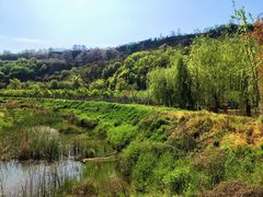 -渭南桃花源民俗文化园