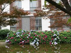 -太湖湾开元名庭大酒店