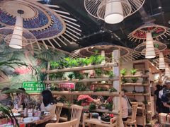 -椰夫人·养生椰子鸡(金沙洲永旺店)