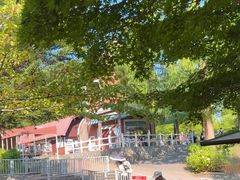 -神户市立六甲山牧场