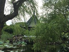 -无锡蠡湖国家湿地公园-蠡园