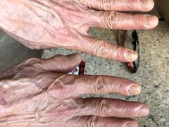 -老四家黄东明牛肉丸