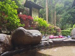 -明月山天沐温泉度假村