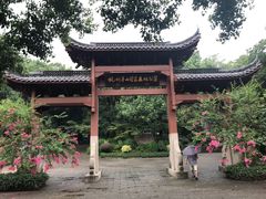 -杭州半山国家森林公园