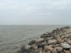 -野狸岛