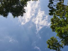 -上海吴淞炮台湾国家湿地公园