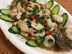 -陶缘一号·四季缘·老字号顺德菜·户外婚礼家宴(西滘店)