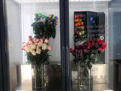-Blueglass酸奶(财富购物中心店)