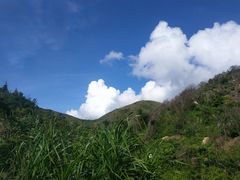 -南丫岛
