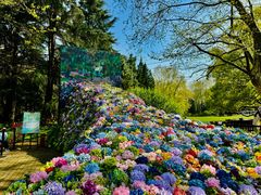 -上海共青森林公园