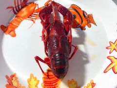 -霸王虾·麻辣小龙虾(清水河公园店)