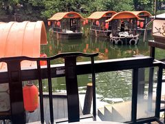 -侨美·唐荔园·40年地道粤菜