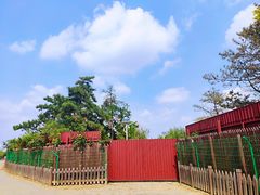 -绿堤公园