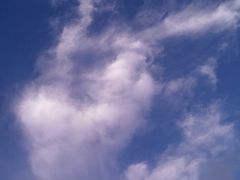 -东庄海岸高尔夫俱乐部