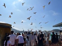 -海驴岛(荣成市)