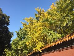-景山公园