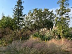 -田园东方蜜桃村的田野营地