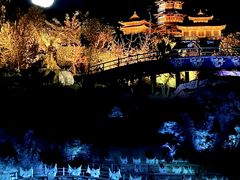 -禅宗少林·音乐大典