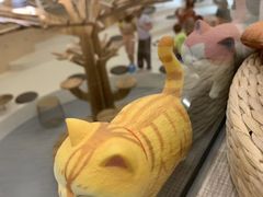 -飞行喵MR PILOT|猫舍·猫咖(静安大融城店)