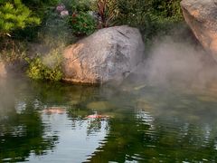 -罗红摄影艺术馆