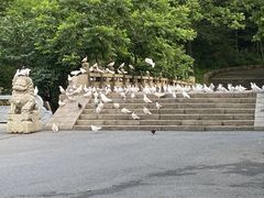 -丹东凤凰山景区