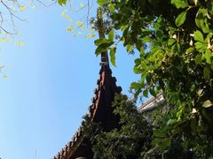 -秋霞圃