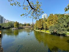 -晓港公园
