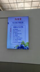 -蓝呗呗蓝莓草莓采摘园(通州区马驹桥店)