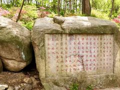-青岛大珠山景区